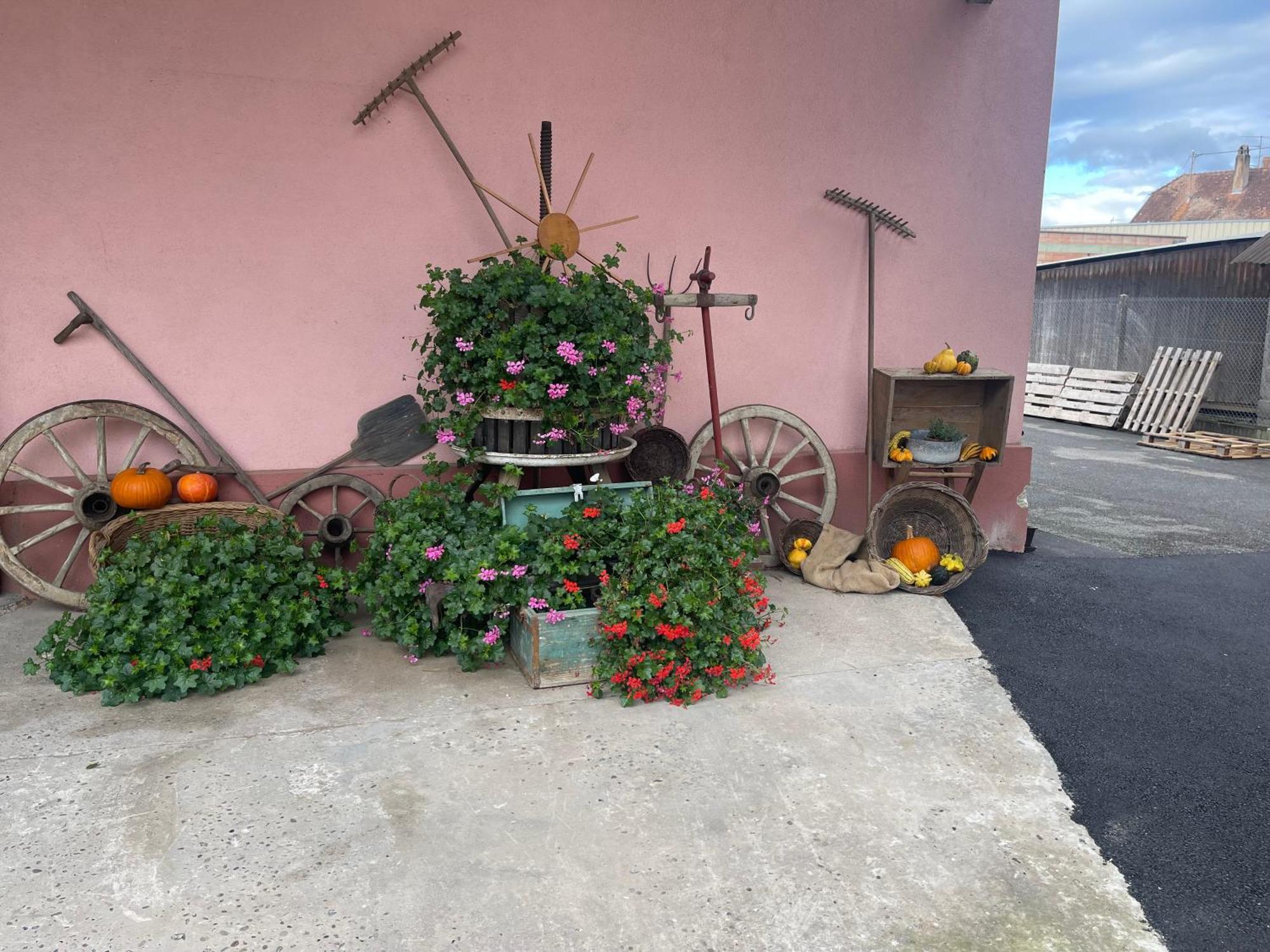 Les Loges De Marianne, D'exception Proche Europapark Holiday home