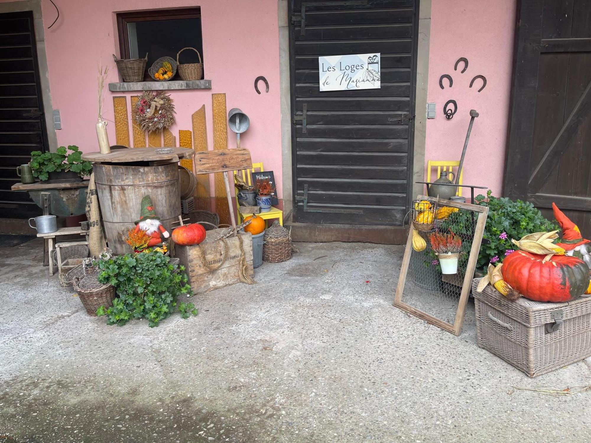 Les Loges De Marianne, D'exception Proche Europapark * Schoenau